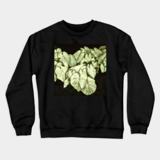 Caladium Leaves Crewneck Sweatshirt